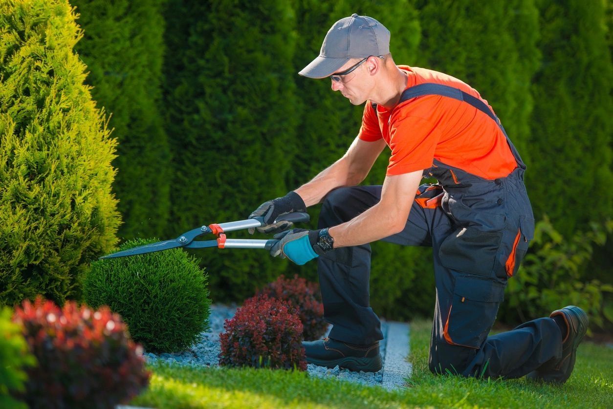 Landscaping & Grounds services in Toronto by Matrix Services